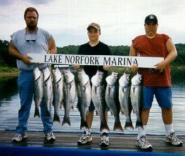 dad & kids go striper fishing on norfork lake arkansas