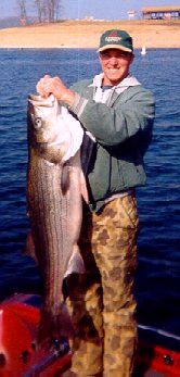 russ breckenridge striper fishing guide norfork lake arkansas
