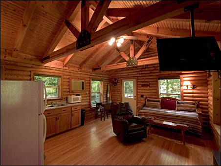 living area Creekside Cabin