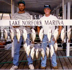 crappie fishing with breckenridge guide service norfork lake