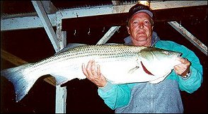 Russell Breckenridge with lake norfork striper
